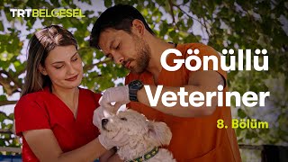 Gönüllü Veteriner | 8. Bölüm | TRT Belgesel