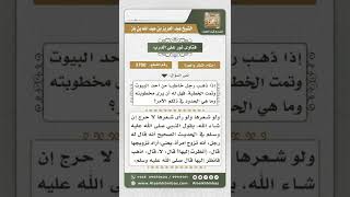 صورة 3700 - حكم رؤية الخاطب لمخطوبته والحكمة من ذلك - نور على الدرب