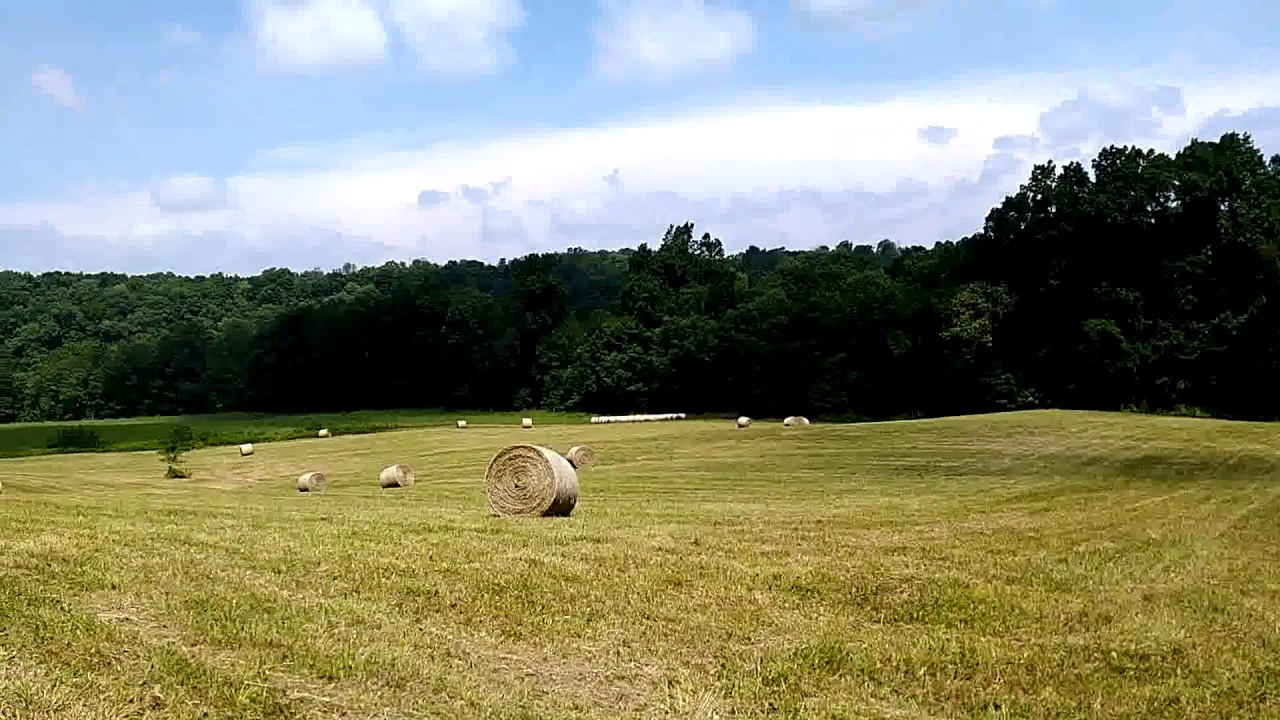 Hunting in Harrison County Indiana: A Scout's Perspective