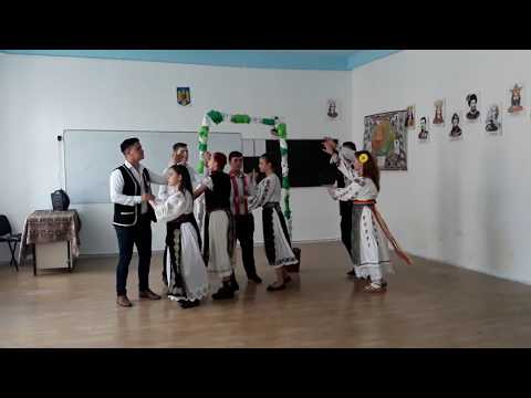 Cercul literar ,,Ad mediam '' /Liceul Tehnologic ,,Nicolae Stoica de Hateg ''Mehadia