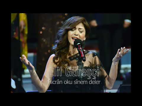 Elif Güreşçi ~ Hicrân oku sinem deler