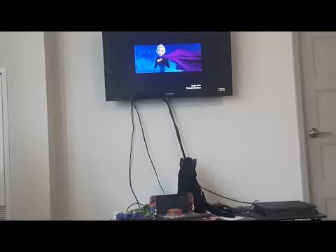 My cat  Lucina loves Disney Frozen | cute/funny cat videos