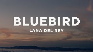 Lana Del Rey - Bluebird (Lyrics)