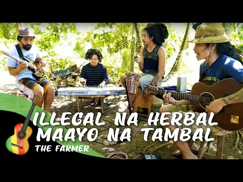 The Farmer - Illegal Na Herbal Maayo Na Tambal (Live Session)