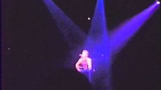 Bruce Springsteen - BORN TO RUN 1988 live + acoustic