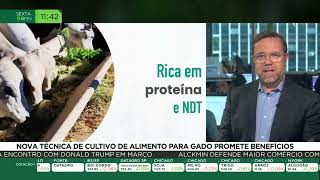 Miniatura do vídeo