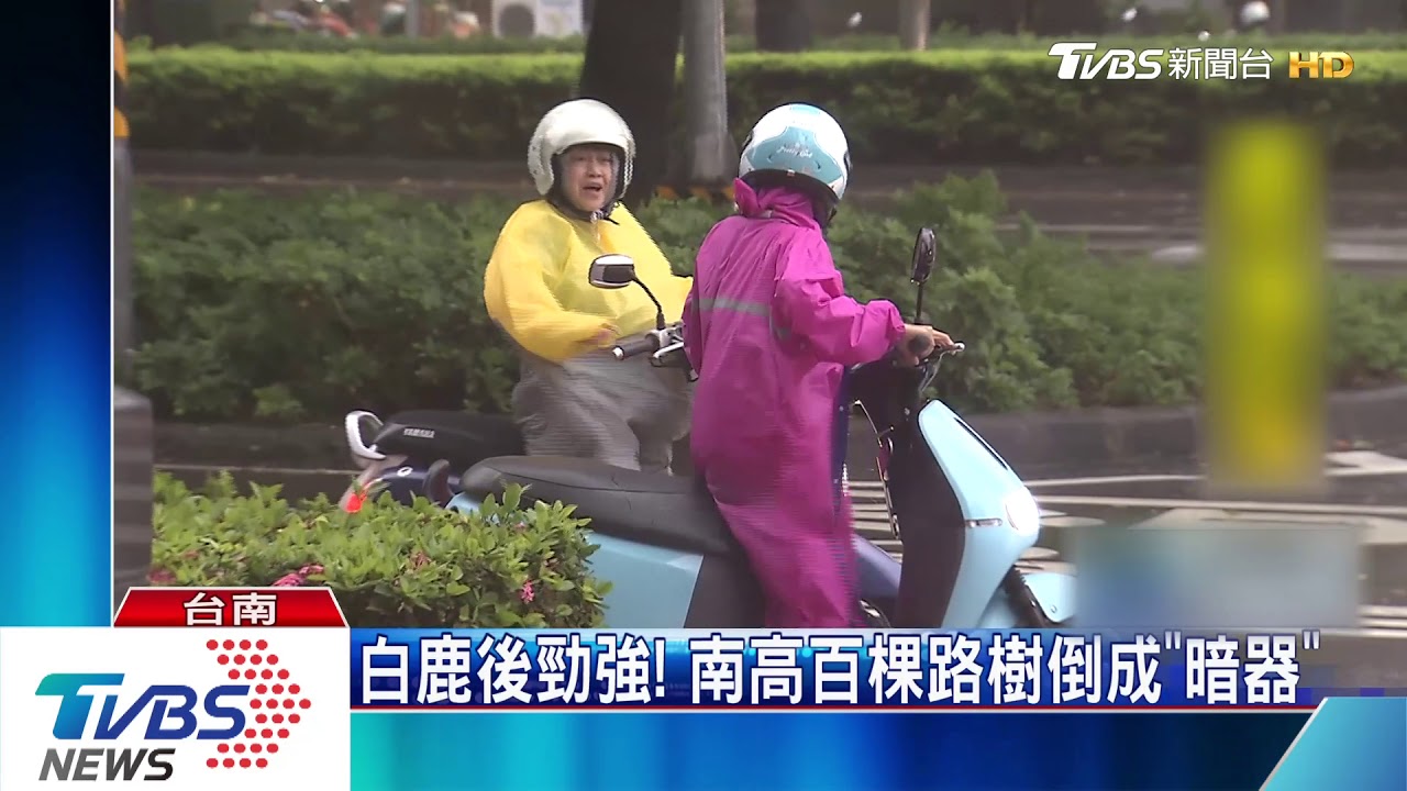 白鹿後勁強！　南高百棵路樹倒成「暗器」