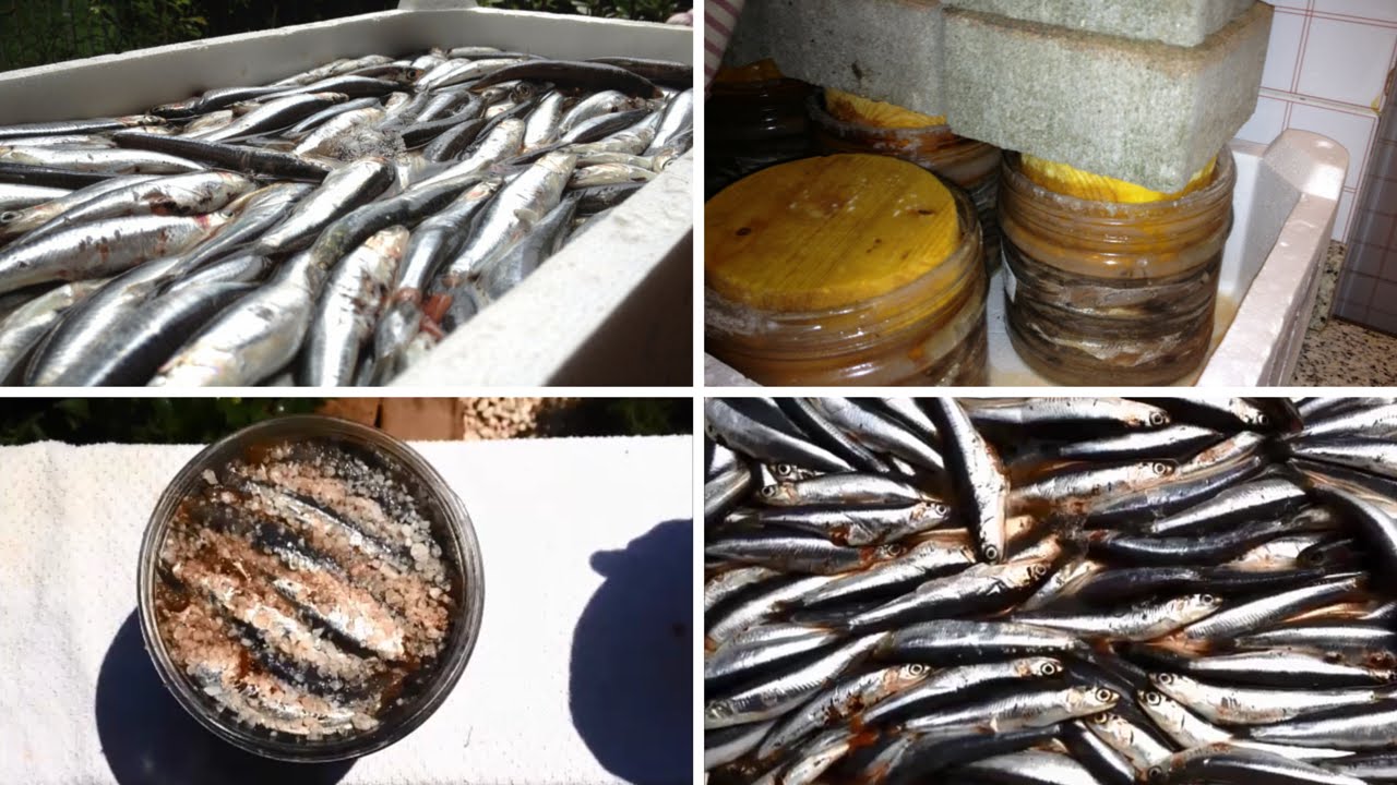 Watch Now Acciughe Sotto Sale Fatte in Casa Acciughe Sotto Sale Fatte in Casa