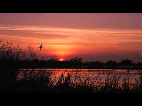 Rong khúc (Rong ca 10) - Duy Quang