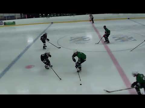 GIC 4.1.2020 TPS White - Carolina Rage HC