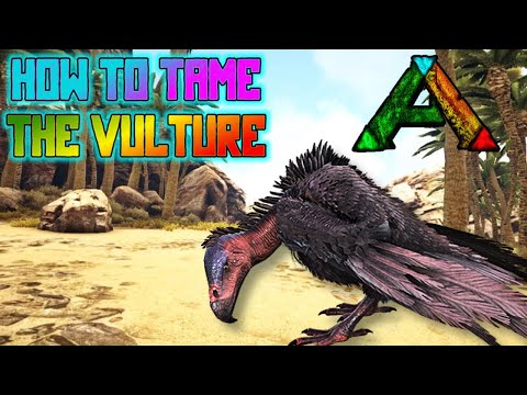 Ark Survival Evolved: Vulture Taming Guide in 2023