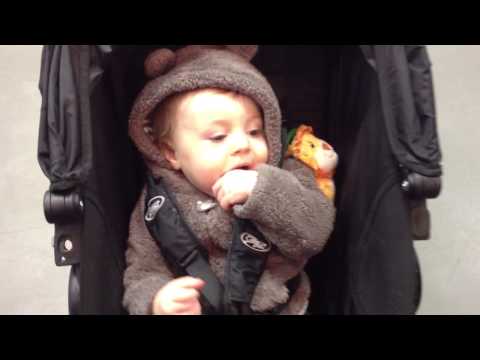 what a glorious sight