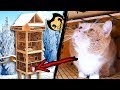 We Made Huge Garden Tower Maze For Cats