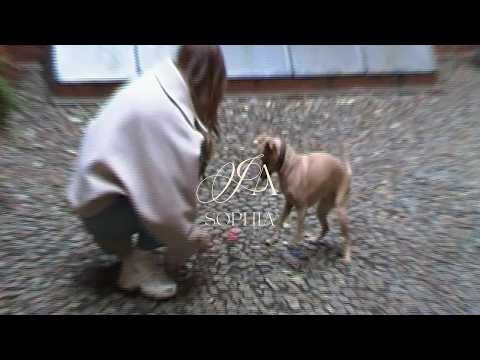 SOPHIA - Ja (Visualizer)