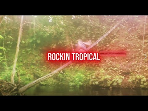 Pork MC - Rockin' Tropical (feat. Diggis) (Official Music Video)