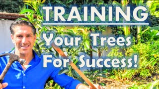 Three (3) Tips For TRAINING Your Trees [LIKE PETS]  For Success!