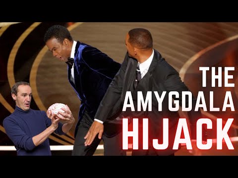 Why we turn into raging idiots | The Amygdala Hijack explained