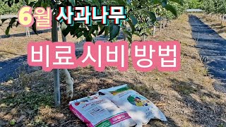 사과나무 6월 비료 시비방법