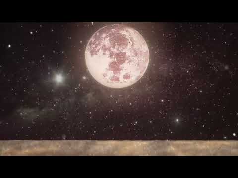 Meu noivo convidou sua ex para ser madrinha do nosso casamento.