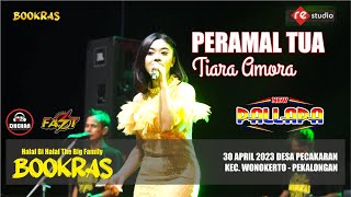 Download lagu PERAMAL TUA - TIARA AMORA (NEW PALLAPA LIVE BOOKRAS 2023) mp3