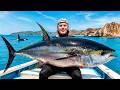Spearing GIANT Tuna In Remote Mexico