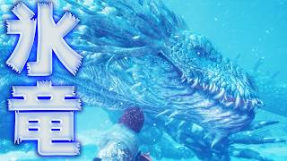 極寒の氷竜フィンブル討伐にTGSで挑むタカティン『ドラゴンズドグマ２：ダークアリズン』【TGS2026　CAPCOMブース】