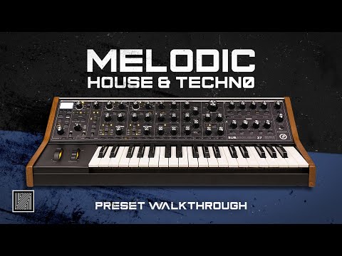117 Moog Subsequent 37 Presets (Progressive House & Melodic Techno)  [Bank Walkthrough]