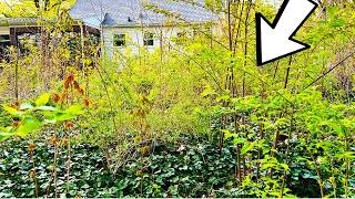 GRANDPA was STUNNED with What we FOUND BURIED under this Overgrown Grass! Lots of Damage done!!
