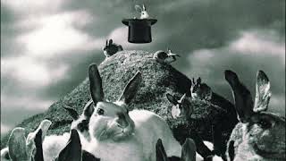 Hand Over Fist D Tuning