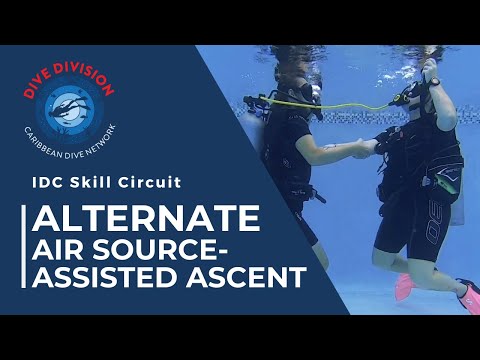 PADI IDC Skill Circuit: Alternate Air Source Assisted Ascent (Revised Instructor Development Course)