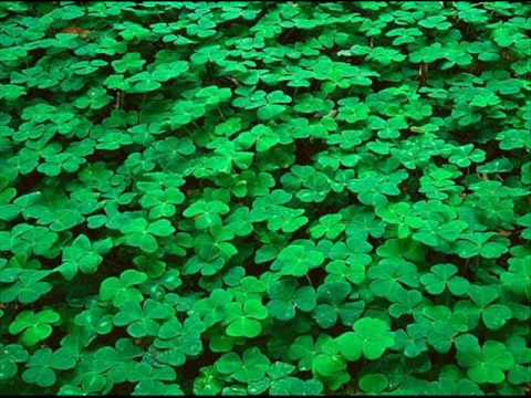 Lars Winnerbäck - Nu grönskar det