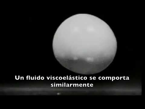 Comportamiento reológico de fluidos