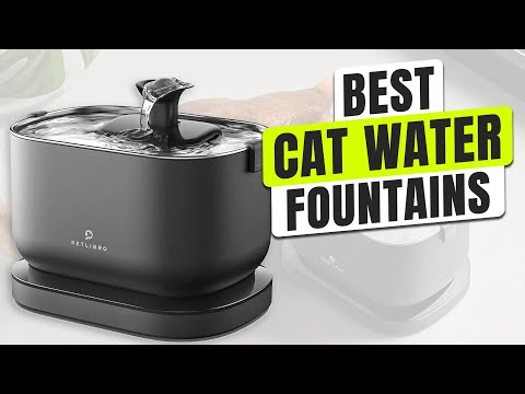 Top 3 BEST Cat Water Fountain