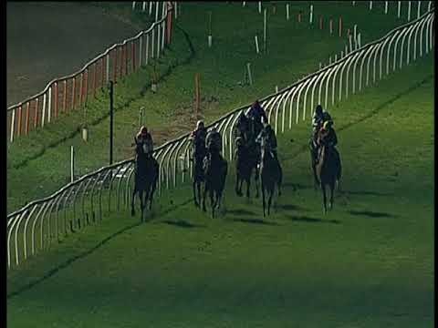 Galoppo 16/11/2019 - 5ª corsa