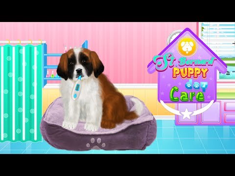 St Bernard Puppy Day Care Video
