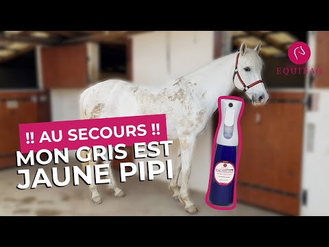 Magic Purple lotion - recharge spray brume - Youtube video