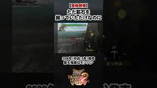 【恐怖映像】分かる人には分かる、モンスターハンター  #モンスターハンタードス #モンスターハンターワイルズ