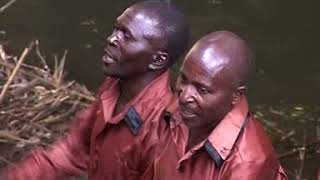 Download lagu LUTENGANO ndagha tata mp3 Download lagu LUTENGANO ndagha tata mp3