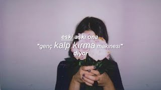 TAYLOR JOHN WILLIAMS | too pretty for the nerds | Türkçe Çeviri