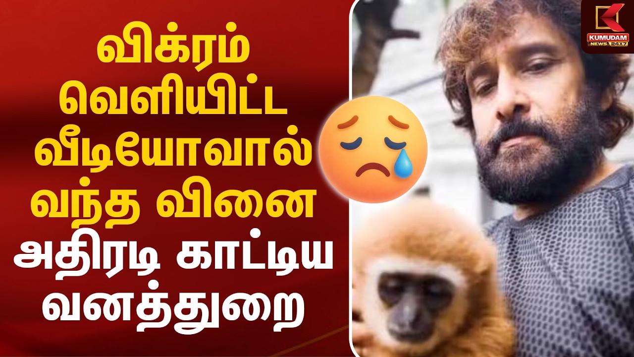 விக்ரம் வெளியிட்ட வீடியோவால் வந்த வினை! அதிரடி காட்டிய வனத்துறை Vikram | Monkey | Kumudam News விக்ரம் வெளியிட்ட வீடியோவால் வந்த வினை! அதிரடி காட்டிய வனத்துறை Vikram | Monkey | Kumudam News