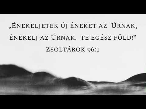 Királyi törvény: szeress, hogy élj!