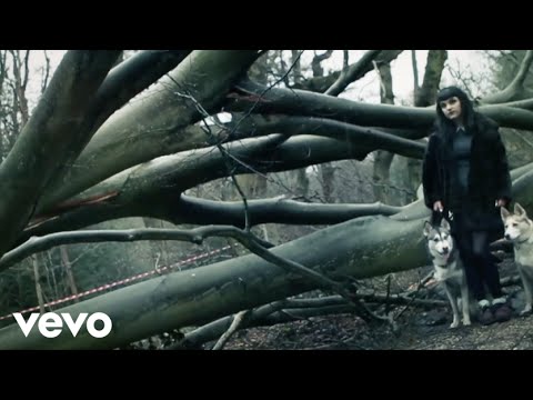 The Hype Theory - Gone