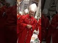 Long Live Pope Leo XIV Viva Il Papa Leone XIV Basilica Of St Peter Vatican