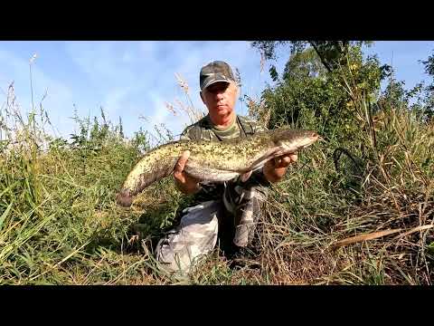 Hornád,Kechnec,Ružín,Latorica