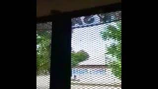 Una rata en el Centro de Salud del Barrio Aeropuerto