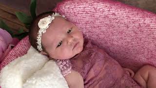 Χαριτωμένος λοξυγγάκος