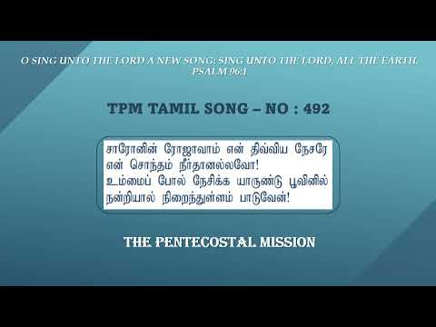 TPM Tamil No 492 I Shaaronin Rojavaam En Divya nesare | ஷாரோனின் ரோஜாவாம் என் திவ்ய நேசரே