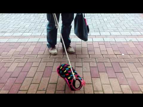 เสื้อหมา