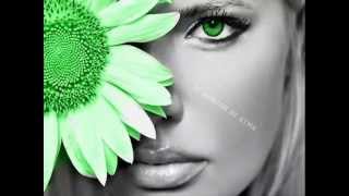 Miento David Bustamante