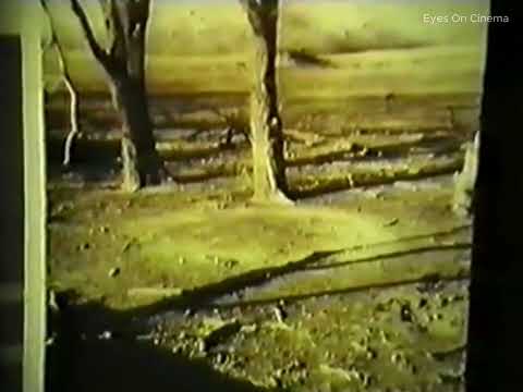 Stanton T  Friedman Discussing the Delphos Landing